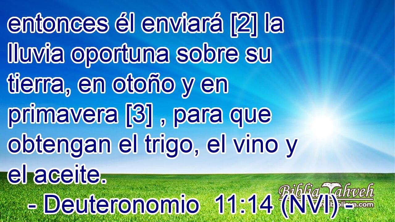  entonces él enviará [2] la lluvia oportuna sobre su tierra, en otoño y en primavera [3] , para que obtengan el trigo, el vino y el aceite. 