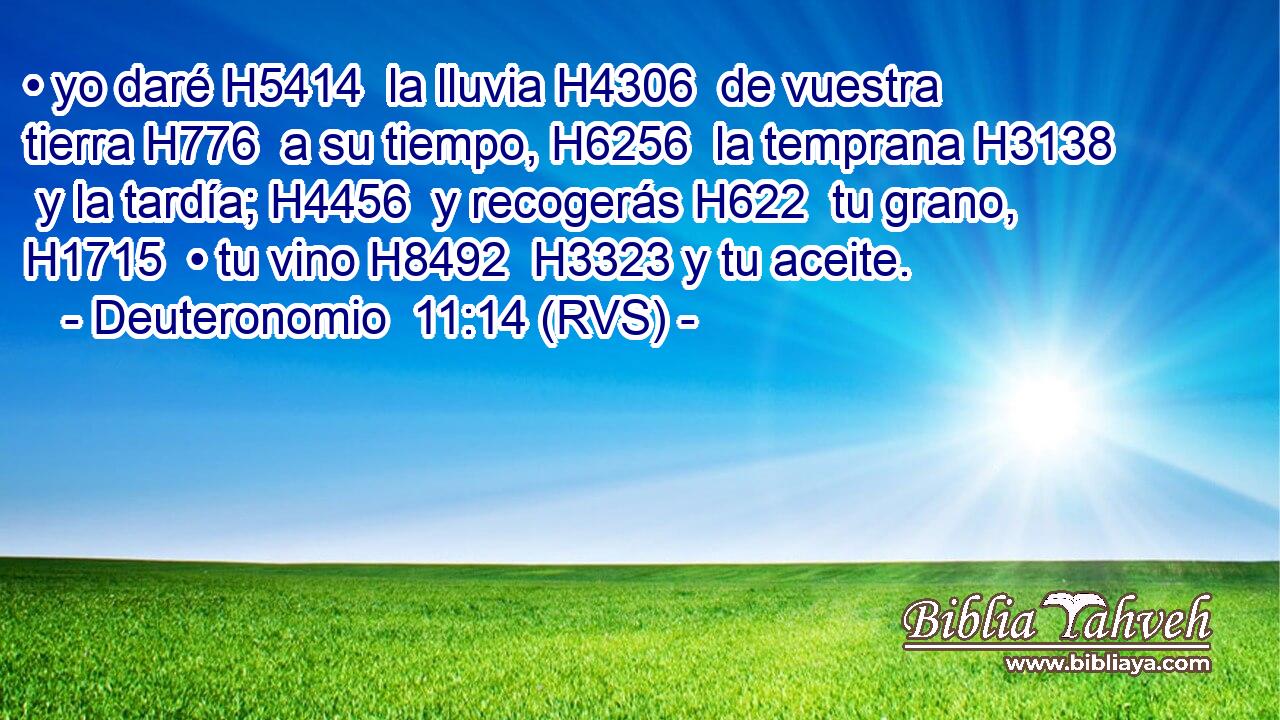 • yo daré H5414  la lluvia H4306  de vuestra tierra H776  a su tiempo, H6256  la temprana H3138  y la tardía; H4456  y recogerás H622  tu grano, H1715  • tu vino H8492  H3323 y tu aceite. 