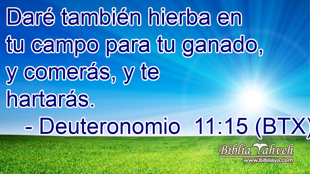Daré también hierba en tu campo para tu ganado, y comerás, y te hartarás.