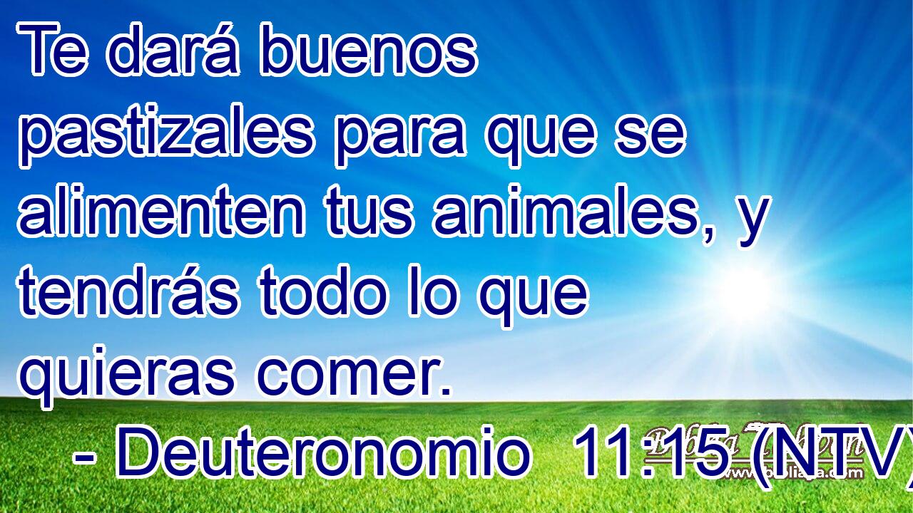 Te dará buenos pastizales para que se alimenten tus animales, y tendrás todo lo que quieras comer.