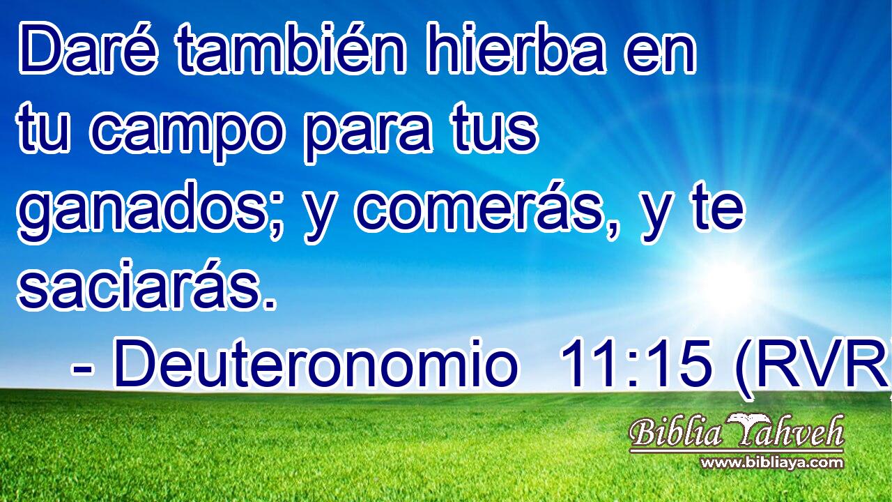 Daré también hierba en tu campo para tus ganados; y comerás, y te saciarás.