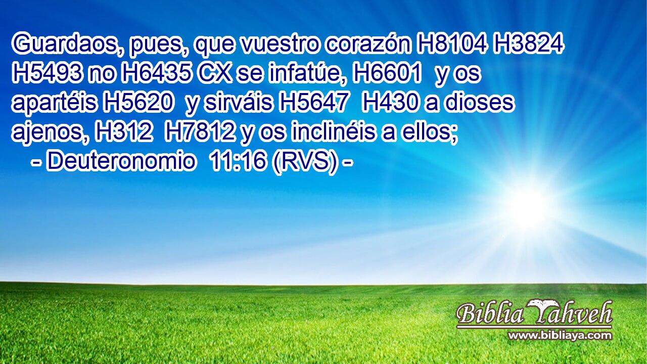 Guardaos, pues, que vuestro corazón H8104 H3824  H5493 no H6435 CX se infatúe, H6601  y os apartéis H5620  y sirváis H5647  H430 a dioses ajenos, H312  H7812 y os inclinéis a ellos; 