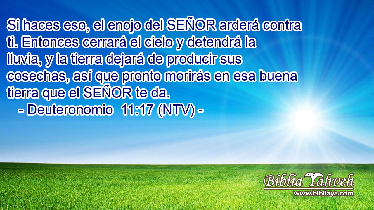 Si haces eso, el enojo del SEÑOR arderá contra ti. Entonces cerrará el cielo y detendrá la lluvia, y la tierra dejará de producir sus cosechas, así que pronto morirás en esa buena tierra que el SEÑOR te da.