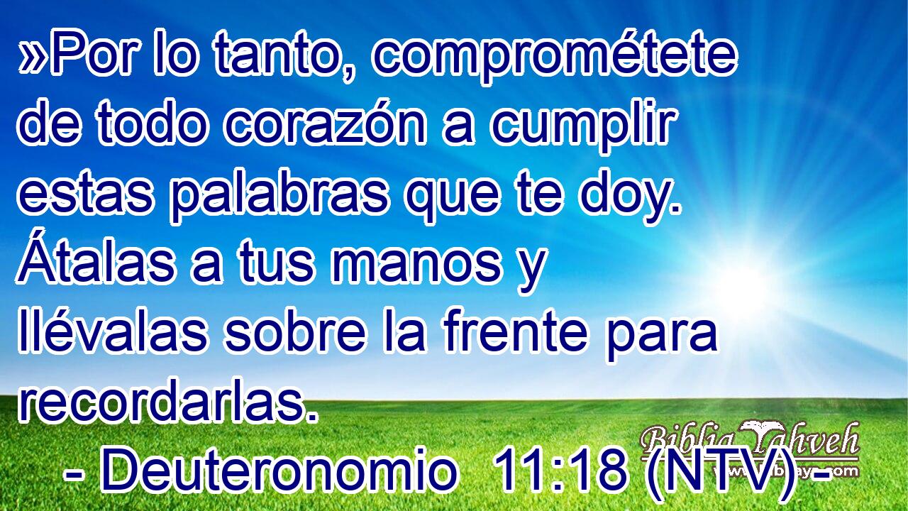 »Por lo tanto, comprométete de todo corazón a cumplir estas palabras que te doy. Átalas a tus manos y llévalas sobre la frente para recordarlas.