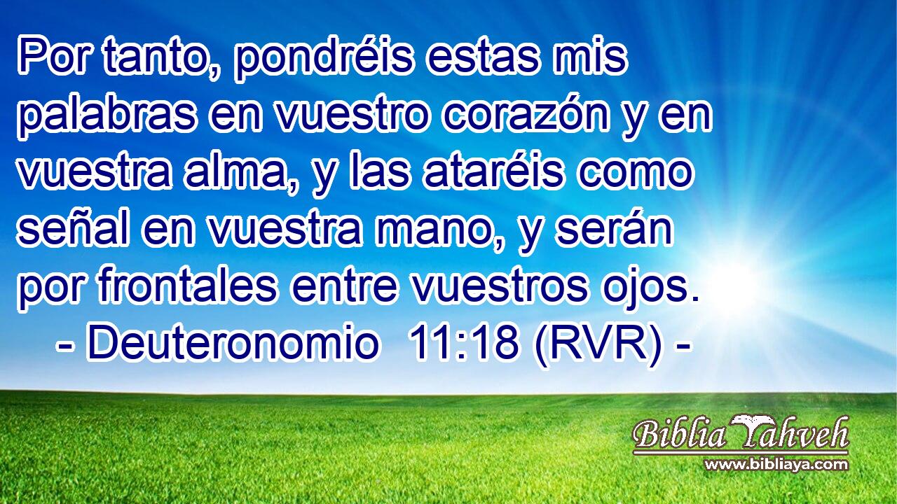 Por tanto, pondréis estas mis palabras en vuestro corazón y en vuestra alma, y las ataréis como señal en vuestra mano, y serán por frontales entre vuestros ojos.