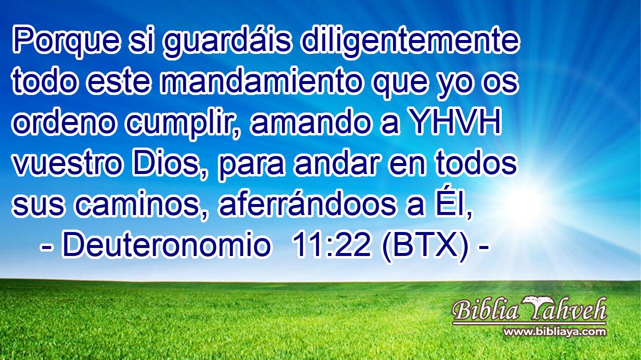 Porque si guardáis diligentemente todo este mandamiento que yo os ordeno cumplir, amando a YHVH vuestro Dios, para andar en todos sus caminos, aferrándoos a Él,