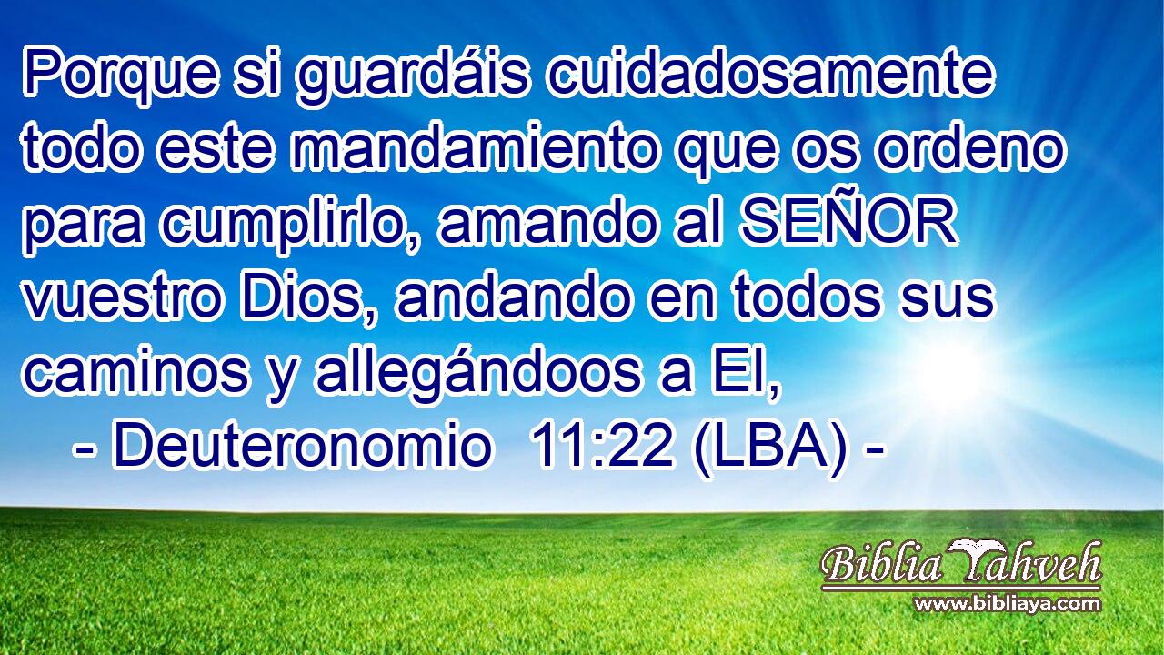 Porque si guardáis cuidadosamente todo este mandamiento que os ordeno para cumplirlo, amando al SEÑOR vuestro Dios, andando en todos sus caminos y allegándoos a El,