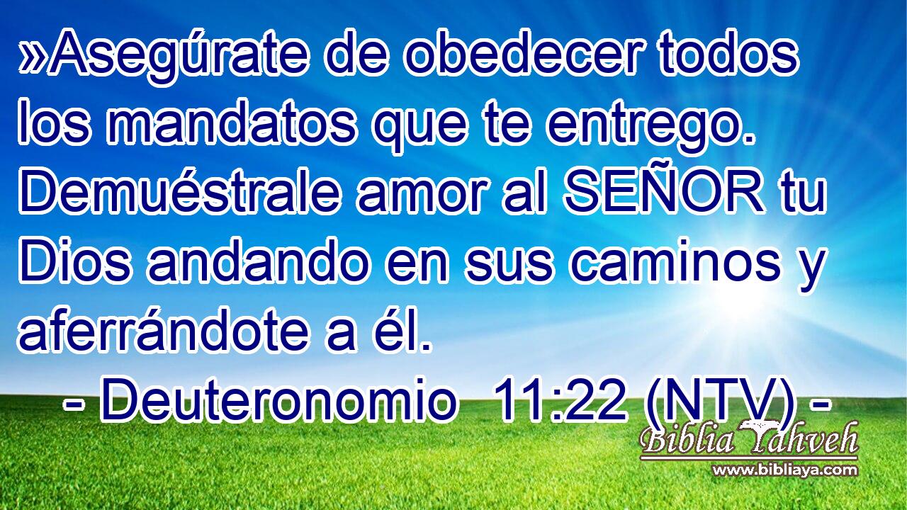 »Asegúrate de obedecer todos los mandatos que te entrego. Demuéstrale amor al SEÑOR tu Dios andando en sus caminos y aferrándote a él.