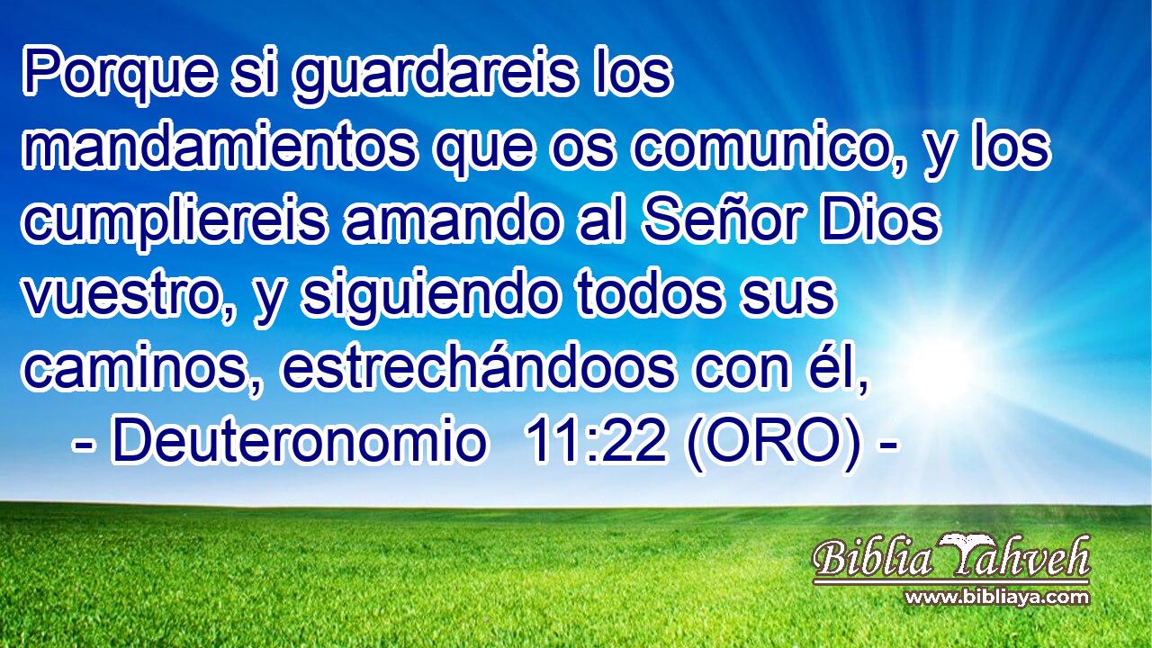  Porque si guardareis los mandamientos que os comunico, y los cumpliereis amando al Señor Dios vuestro, y siguiendo todos sus caminos, estrechándoos con él, 