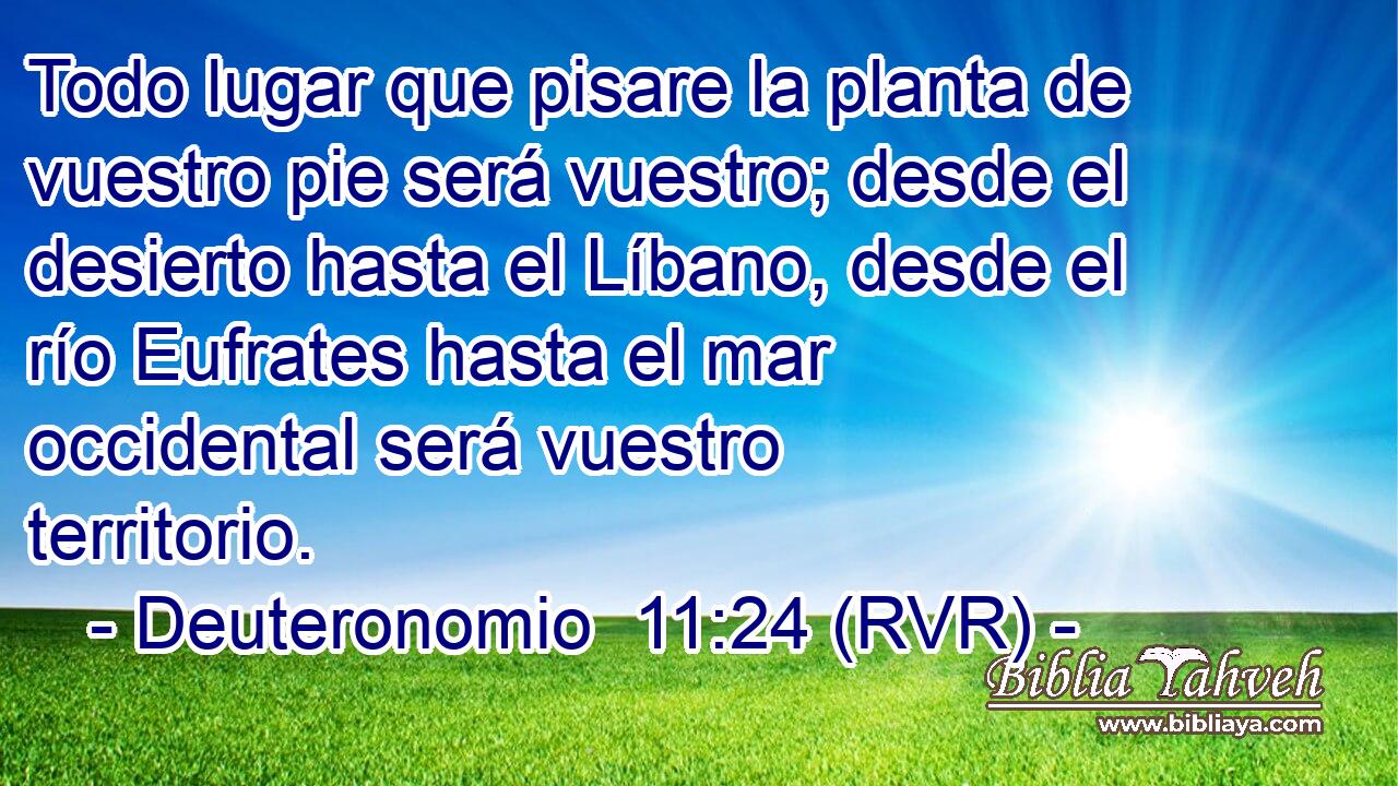 Todo lugar que pisare la planta de vuestro pie será vuestro; desde el desierto hasta el Líbano, desde el río Eufrates hasta el mar occidental será vuestro territorio.