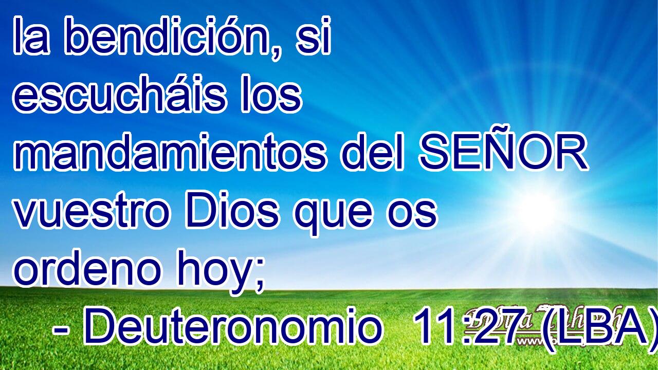 la bendición, si escucháis los mandamientos del SEÑOR vuestro Dios que os ordeno hoy;