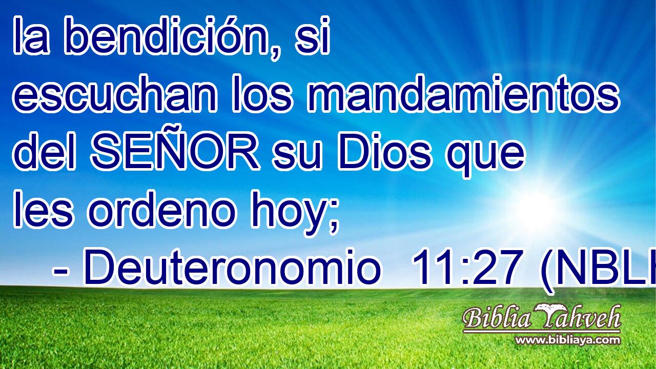  la bendición, si escuchan los mandamientos del SEÑOR su Dios que les ordeno hoy; 