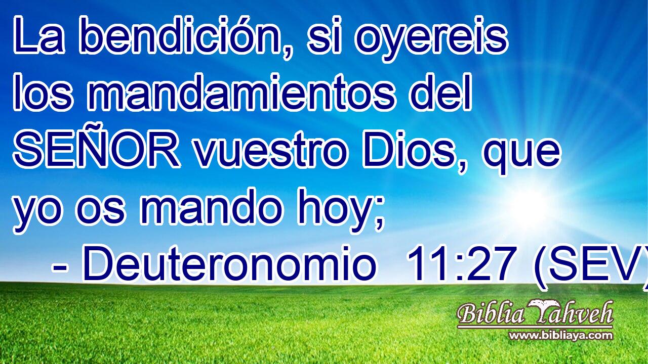 La bendición, si oyereis los mandamientos del SEÑOR vuestro Dios, que yo os mando hoy;
