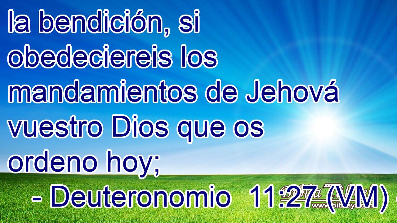  la bendición, si obedeciereis los mandamientos de Jehová vuestro Dios que os ordeno hoy; 
