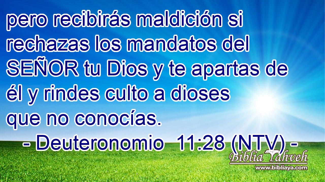 pero recibirás maldición si rechazas los mandatos del SEÑOR tu Dios y te apartas de él y rindes culto a dioses que no conocías.