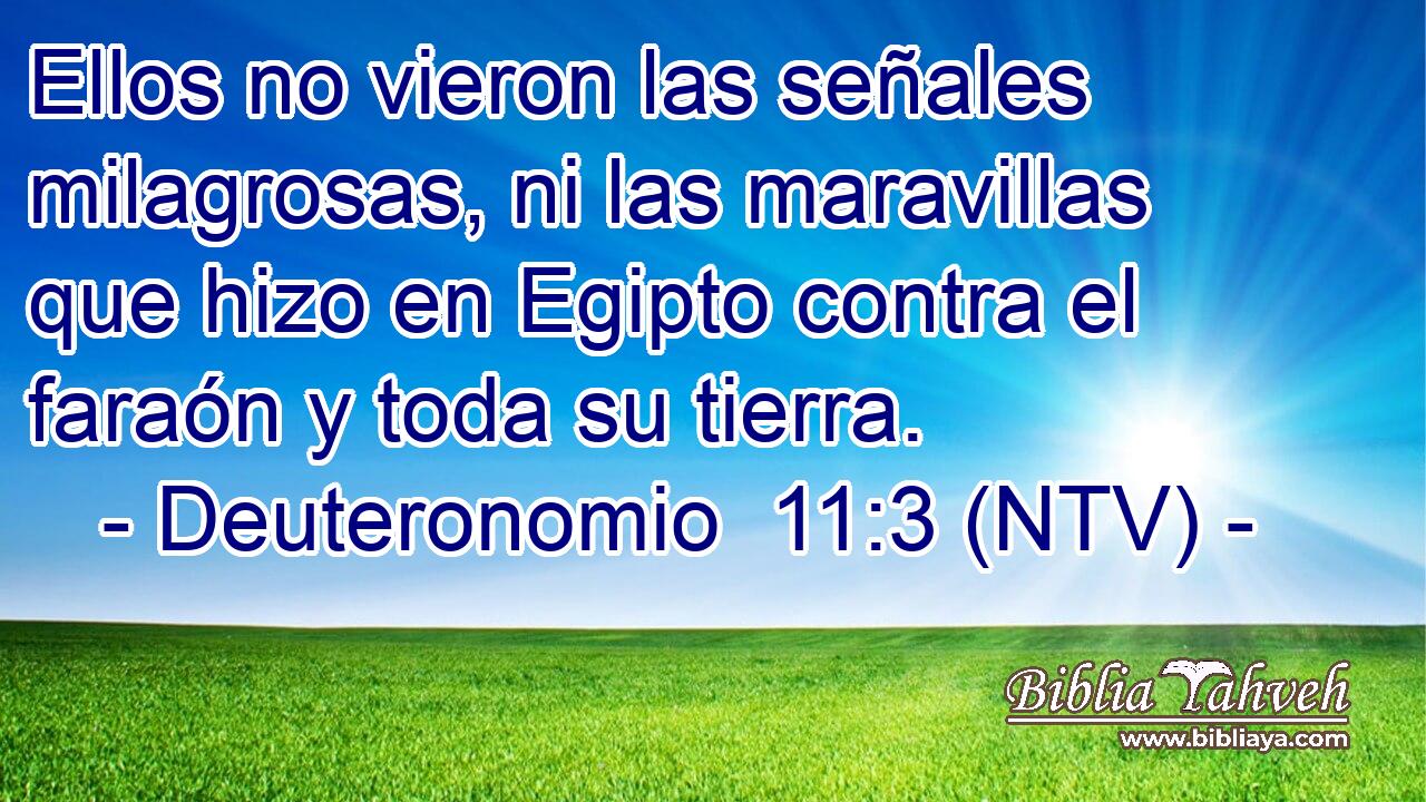 Ellos no vieron las señales milagrosas, ni las maravillas que hizo en Egipto contra el faraón y toda su tierra.