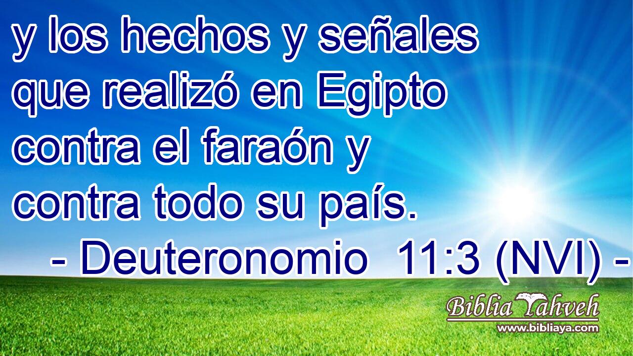  y los hechos y señales que realizó en Egipto contra el faraón y contra todo su país. 