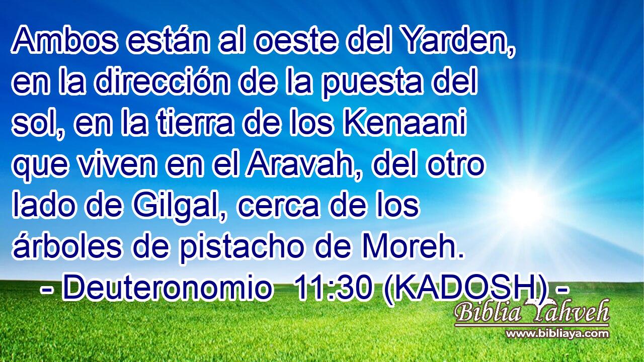  Ambos están al oeste del Yarden, en la dirección de la puesta del sol, en la tierra de los Kenaani que viven en el Aravah, del otro lado de Gilgal, cerca de los árboles de pistacho de Moreh. 