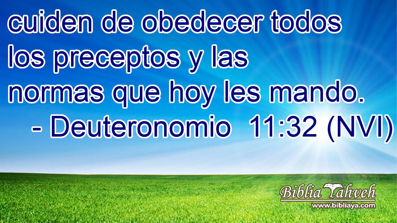  cuiden de obedecer todos los preceptos y las normas que hoy les mando. 