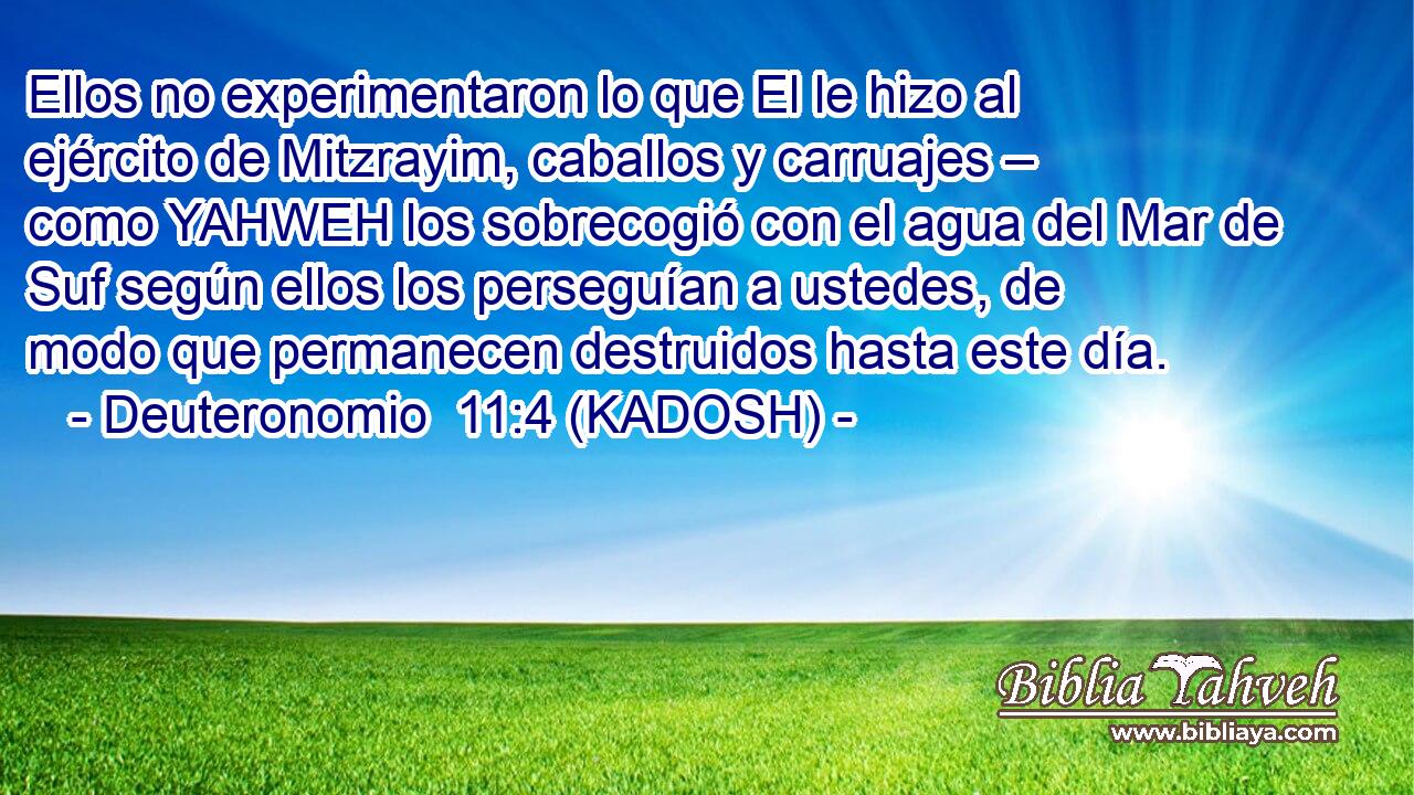  Ellos no experimentaron lo que El le hizo al ejército de Mitzrayim, caballos y carruajes – como YAHWEH los sobrecogió con el agua del Mar de Suf según ellos los perseguían a ustedes, de modo que permanecen destruidos hasta este día. 