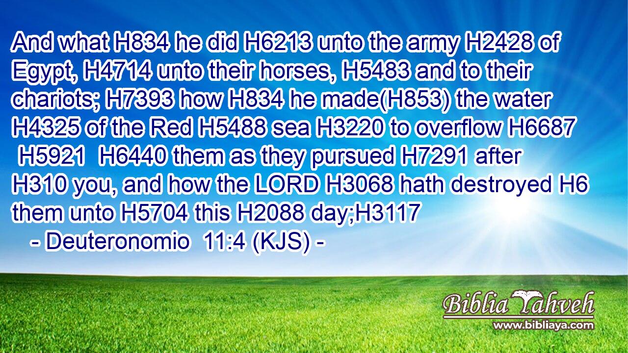And what H834 he did H6213 unto the army H2428 of Egypt, H4714 unto their horses, H5483 and to their chariots; H7393 how H834 he made(H853) the water H4325 of the Red H5488 sea H3220 to overflow H6687  H5921  H6440 them as they pursued H7291 after H310 you, and how the LORD H3068 hath destroyed H6 them unto H5704 this H2088 day;H3117