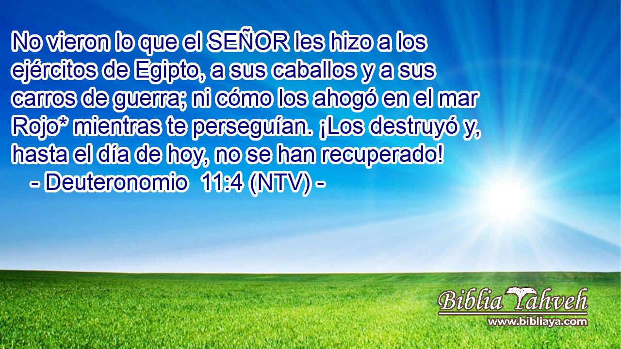 No vieron lo que el SEÑOR les hizo a los ejércitos de Egipto, a sus caballos y a sus carros de guerra; ni cómo los ahogó en el mar Rojo* mientras te perseguían. ¡Los destruyó y, hasta el día de hoy, no se han recuperado!