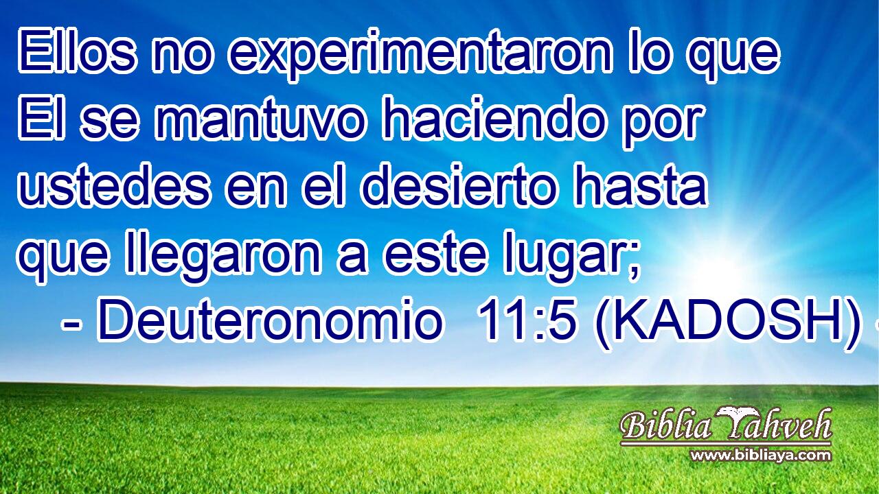  Ellos no experimentaron lo que El se mantuvo haciendo por ustedes en el desierto hasta que llegaron a este lugar; 