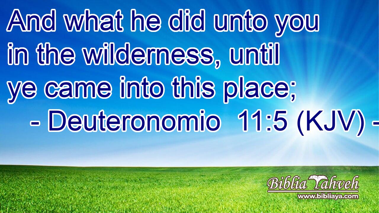 And what he did unto you in the wilderness, until ye came into this place;