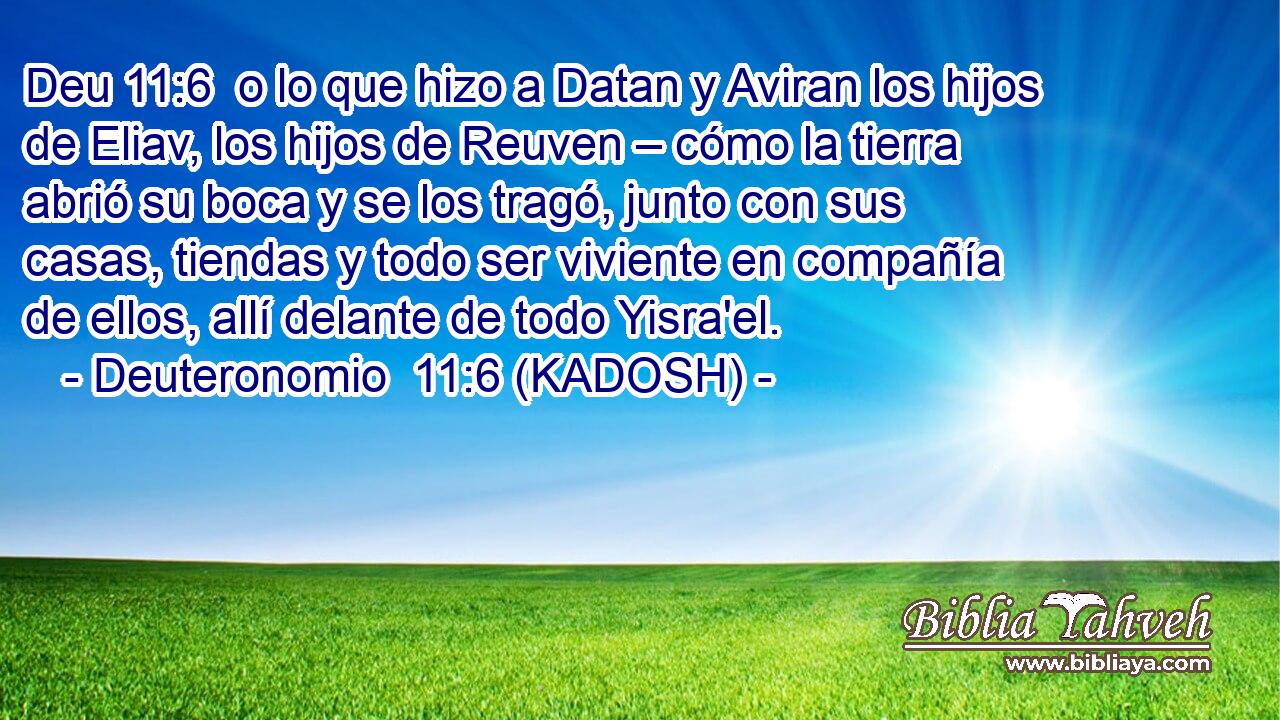  o lo que hizo a Datan y Aviran los hijos de Eliav, los hijos de Reuven – cómo la tierra abrió su boca y se los tragó, junto con sus casas, tiendas y todo ser viviente en compañía de ellos, allí delante de todo Yisra'el. 