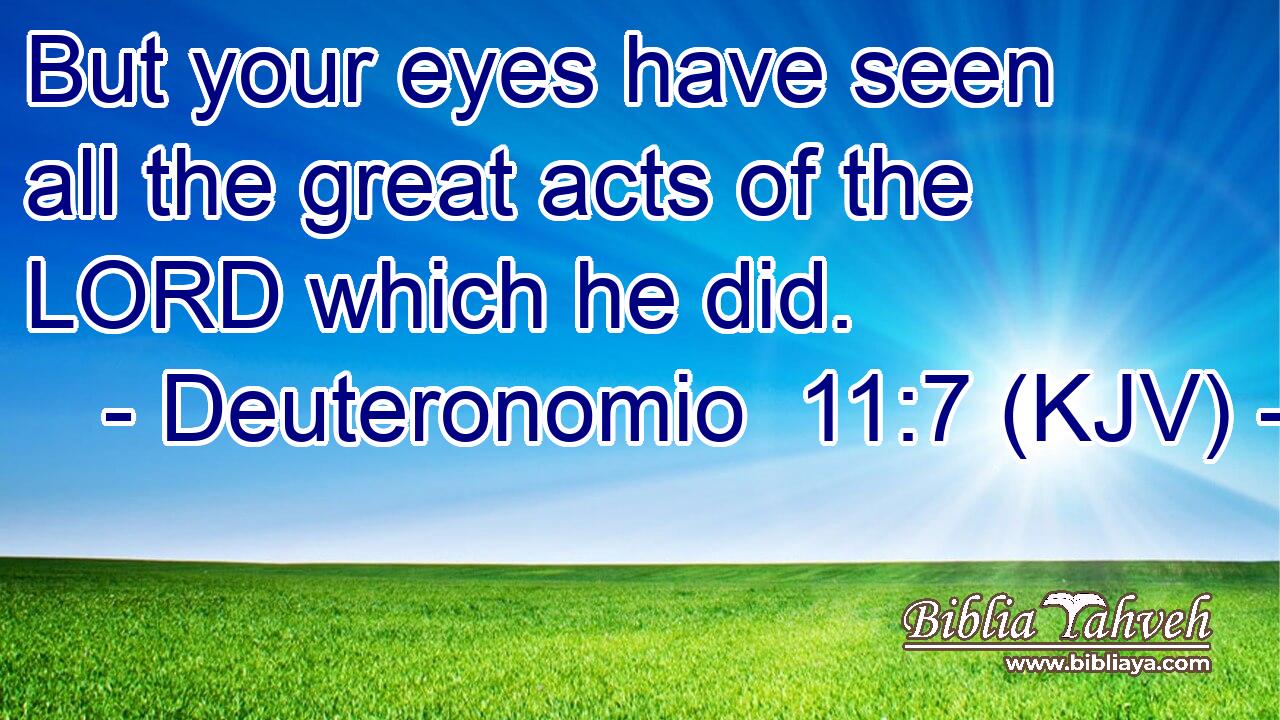 But your eyes have seen all the great acts of the LORD which he did.
