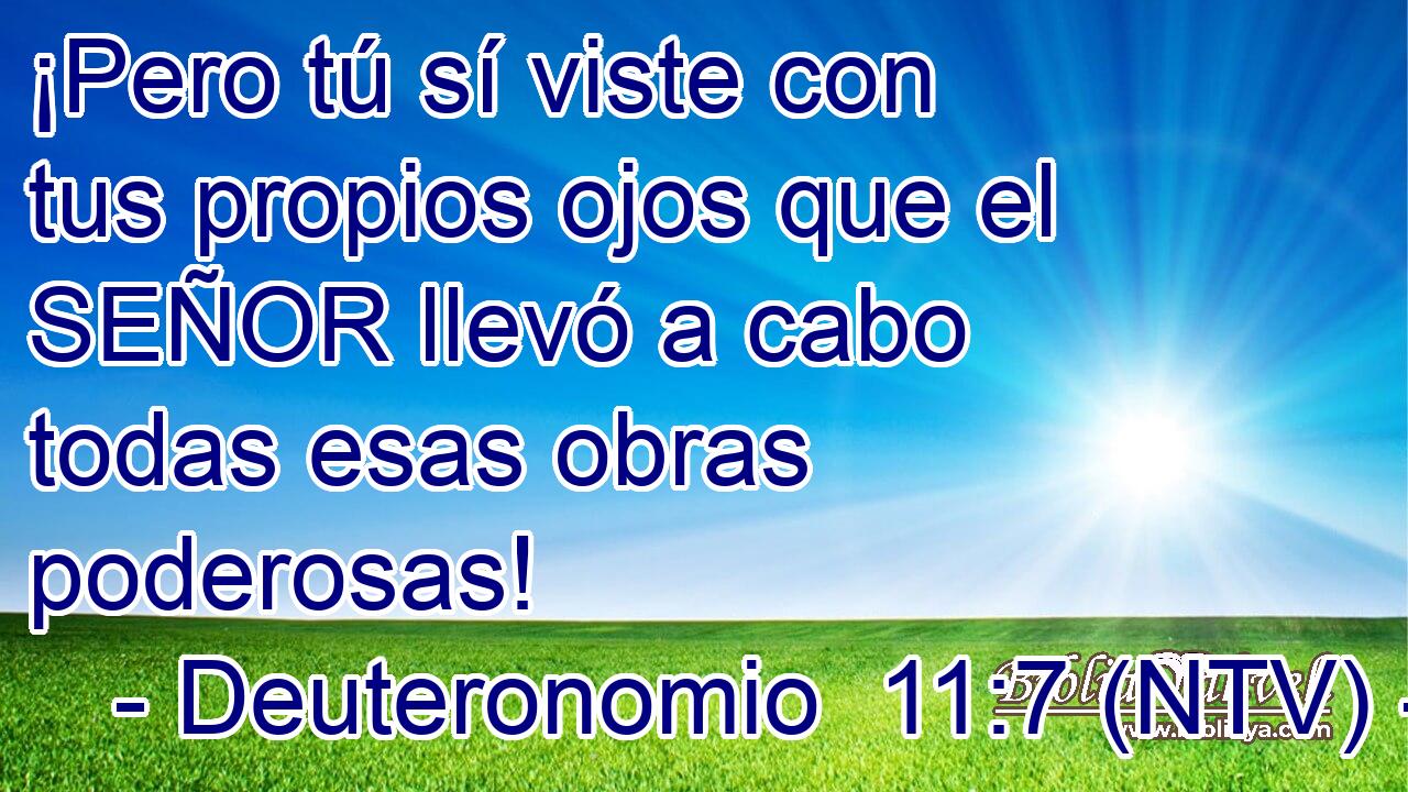 ¡Pero tú sí viste con tus propios ojos que el SEÑOR llevó a cabo todas esas obras poderosas!