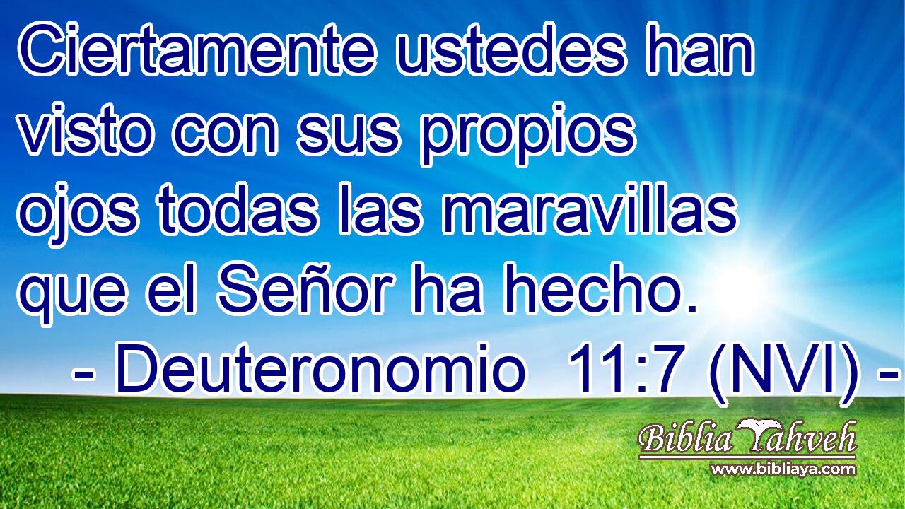  Ciertamente ustedes han visto con sus propios ojos todas las maravillas que el Señor ha hecho. 