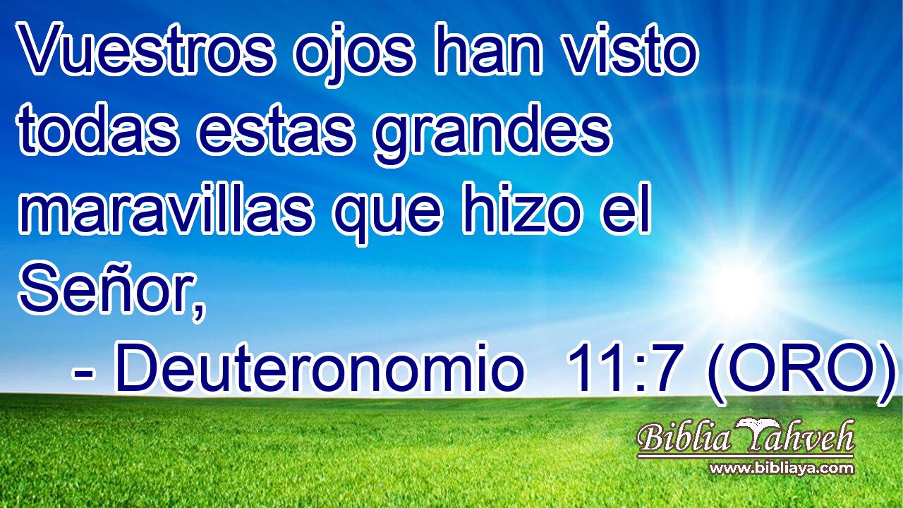  Vuestros ojos han visto todas estas grandes maravillas que hizo el Señor, 