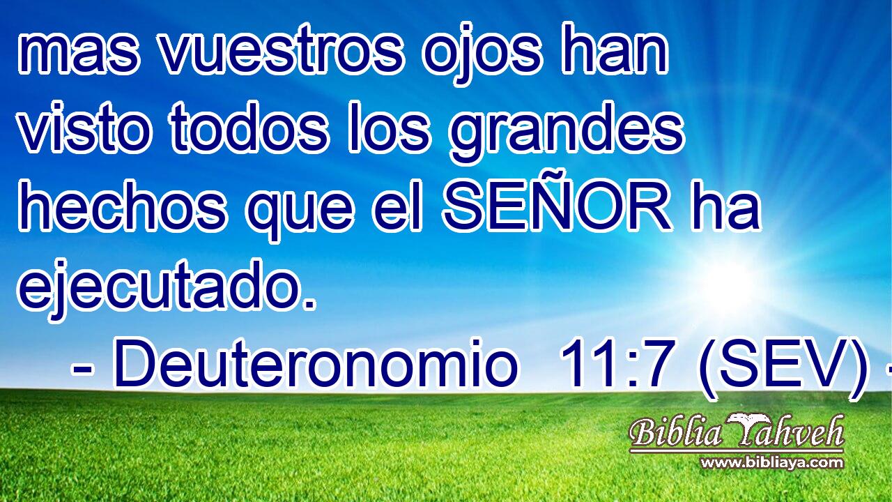 mas vuestros ojos han visto todos los grandes hechos que el SEÑOR ha ejecutado.