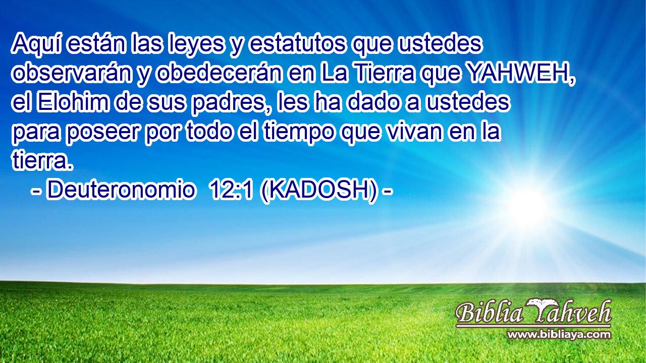  Aquí están las leyes y estatutos que ustedes observarán y obedecerán en La Tierra que YAHWEH, el Elohim de sus padres, les ha dado a ustedes para poseer por todo el tiempo que vivan en la tierra. 