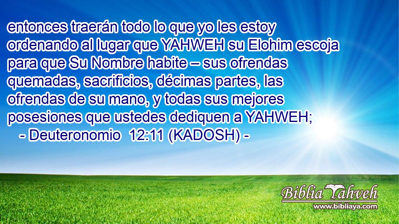  entonces traerán todo lo que yo les estoy ordenando al lugar que YAHWEH su Elohim escoja para que Su Nombre habite – sus ofrendas quemadas, sacrificios, décimas partes, las ofrendas de su mano, y todas sus mejores posesiones que ustedes dediquen a YAHWEH; 