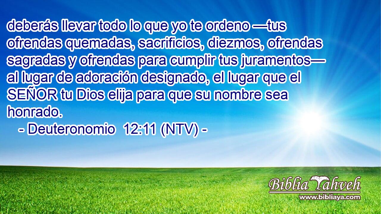 deberás llevar todo lo que yo te ordeno —tus ofrendas quemadas, sacrificios, diezmos, ofrendas sagradas y ofrendas para cumplir tus juramentos— al lugar de adoración designado, el lugar que el SEÑOR tu Dios elija para que su nombre sea honrado.