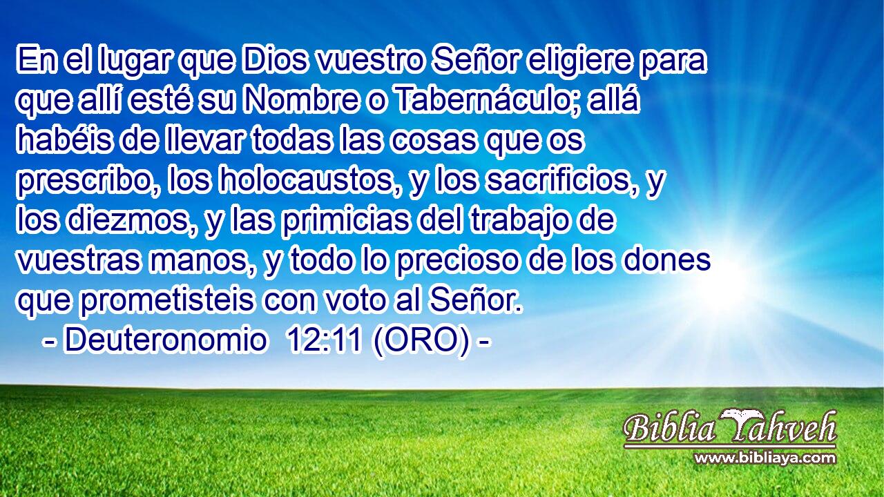  En el lugar que Dios vuestro Señor eligiere para que allí esté su Nombre o Tabernáculo; allá habéis de llevar todas las cosas que os prescribo, los holocaustos, y los sacrificios, y los diezmos, y las primicias del trabajo de vuestras manos, y todo lo precioso de los dones que prometisteis con voto al Señor. 