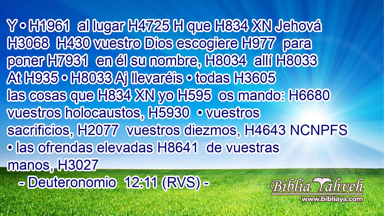 Y • H1961  al lugar H4725 H que H834 XN Jehová H3068  H430 vuestro Dios escogiere H977  para poner H7931  en él su nombre, H8034  allí H8033 At H935 • H8033 Aj llevaréis • todas H3605  las cosas que H834 XN yo H595  os mando: H6680  vuestros holocaustos, H5930  • vuestros sacrificios, H2077  vuestros diezmos, H4643 NCNPFS • las ofrendas elevadas H8641  de vuestras manos, H3027  
