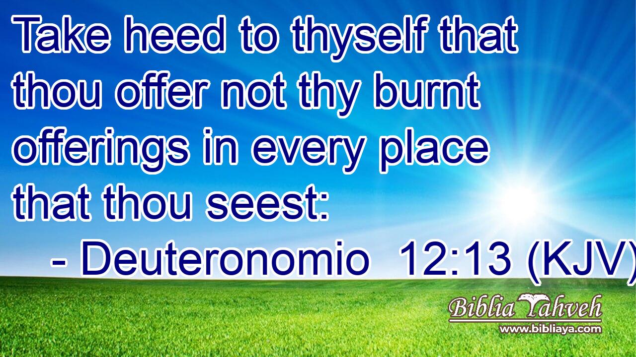 Take heed to thyself that thou offer not thy burnt offerings in every place that thou seest:
