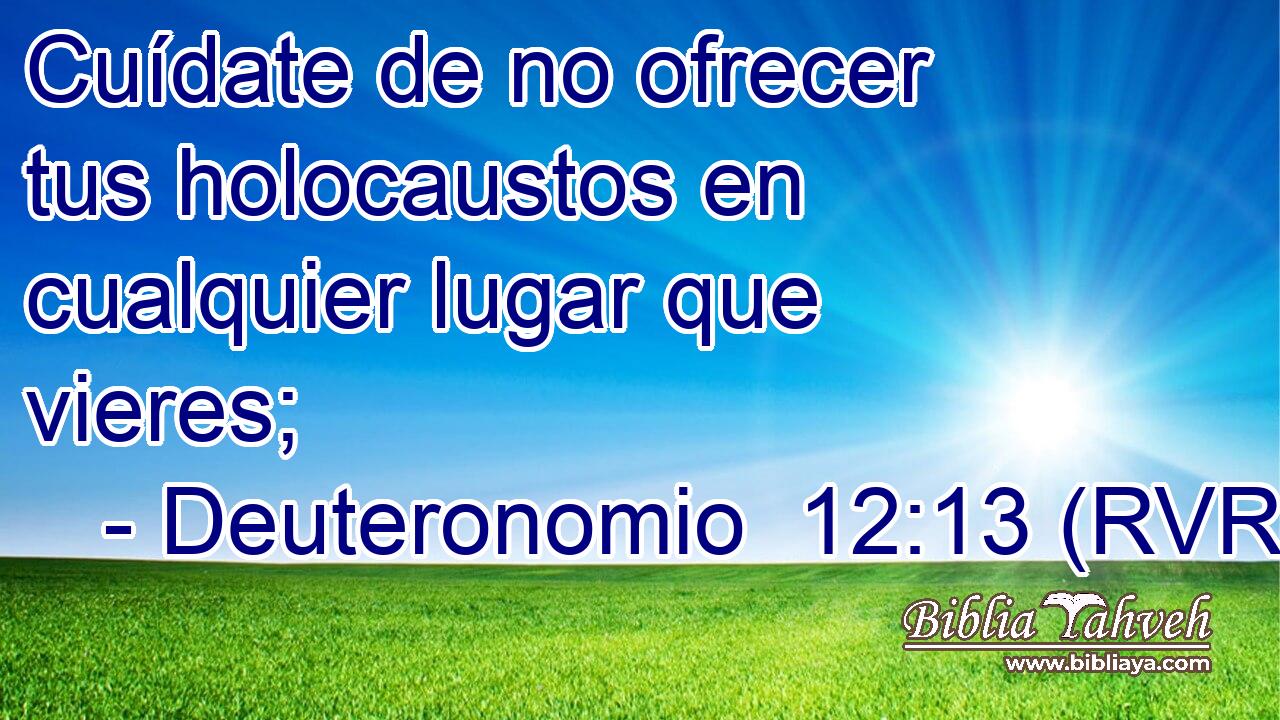 Cuídate de no ofrecer tus holocaustos en cualquier lugar que vieres;