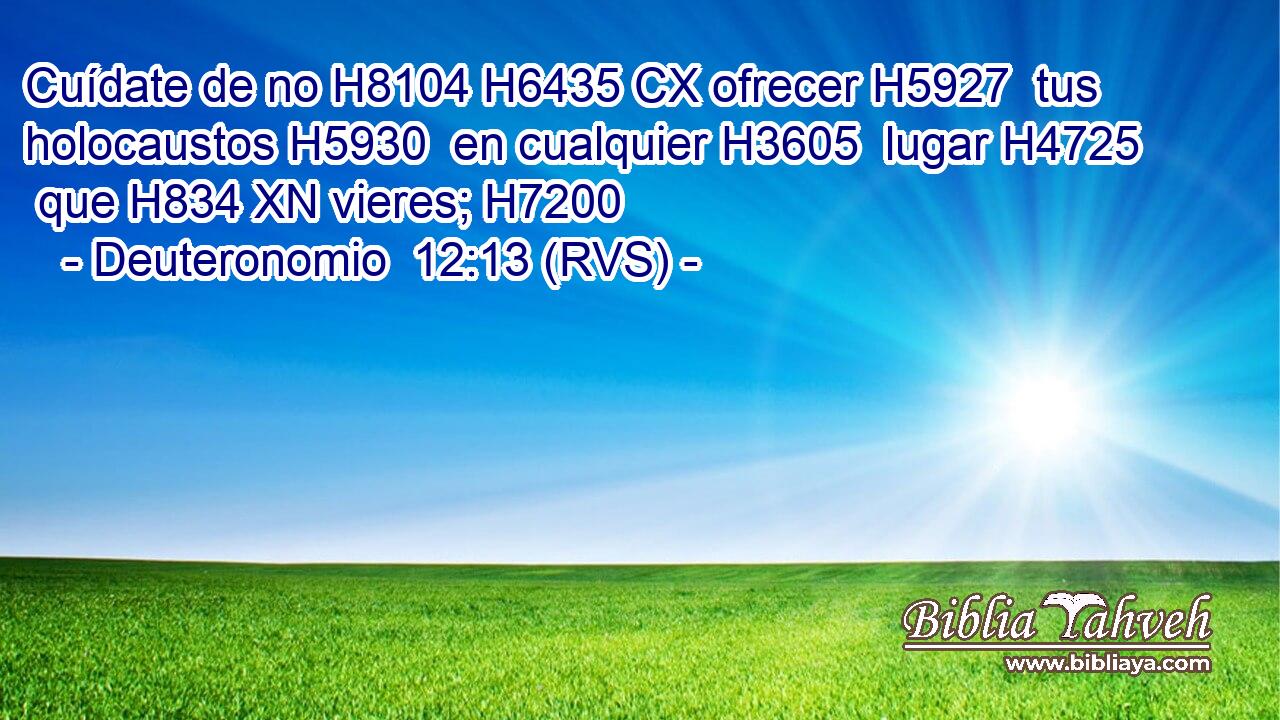 Cuídate de no H8104 H6435 CX ofrecer H5927  tus holocaustos H5930  en cualquier H3605  lugar H4725  que H834 XN vieres; H7200  