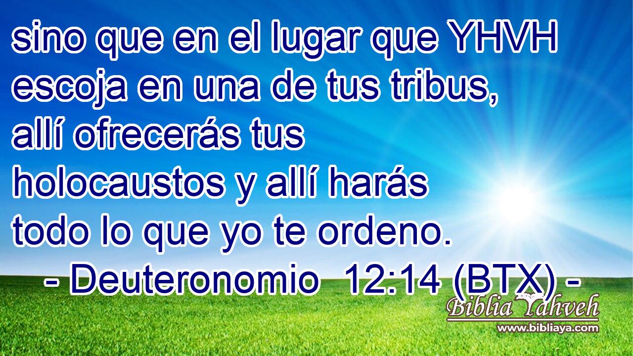 sino que en el lugar que YHVH escoja en una de tus tribus, allí ofrecerás tus holocaustos y allí harás todo lo que yo te ordeno.