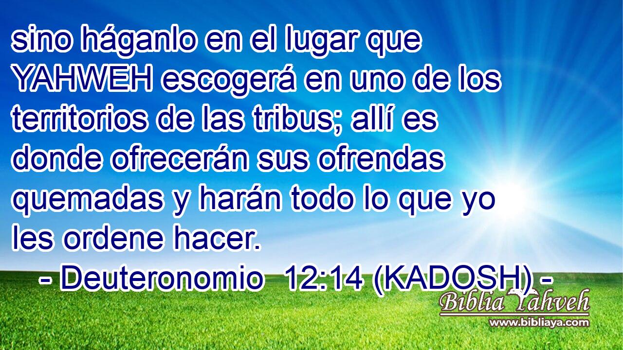  sino háganlo en el lugar que YAHWEH escogerá en uno de los territorios de las tribus; allí es donde ofrecerán sus ofrendas quemadas y harán todo lo que yo les ordene hacer. 