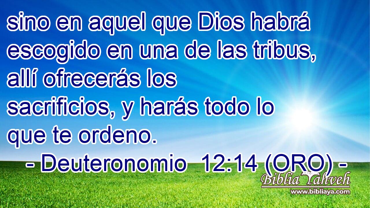  sino en aquel que Dios habrá escogido en una de las tribus, allí ofrecerás los sacrificios, y harás todo lo que te ordeno. 