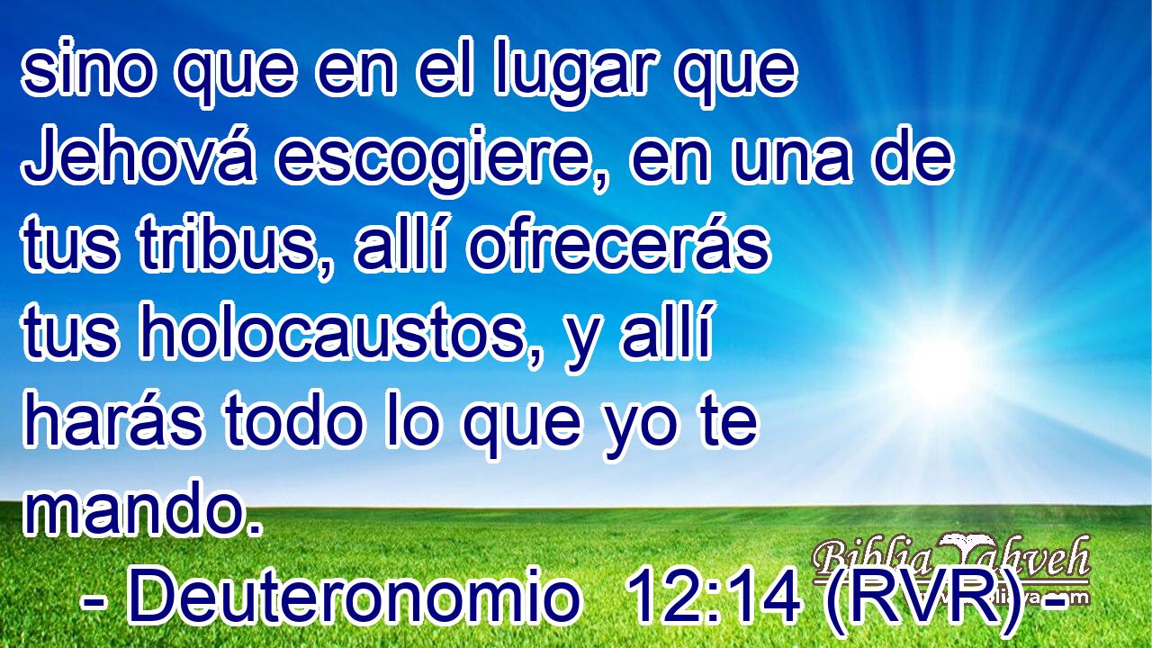 sino que en el lugar que Jehová escogiere, en una de tus tribus, allí ofrecerás tus holocaustos, y allí harás todo lo que yo te mando.