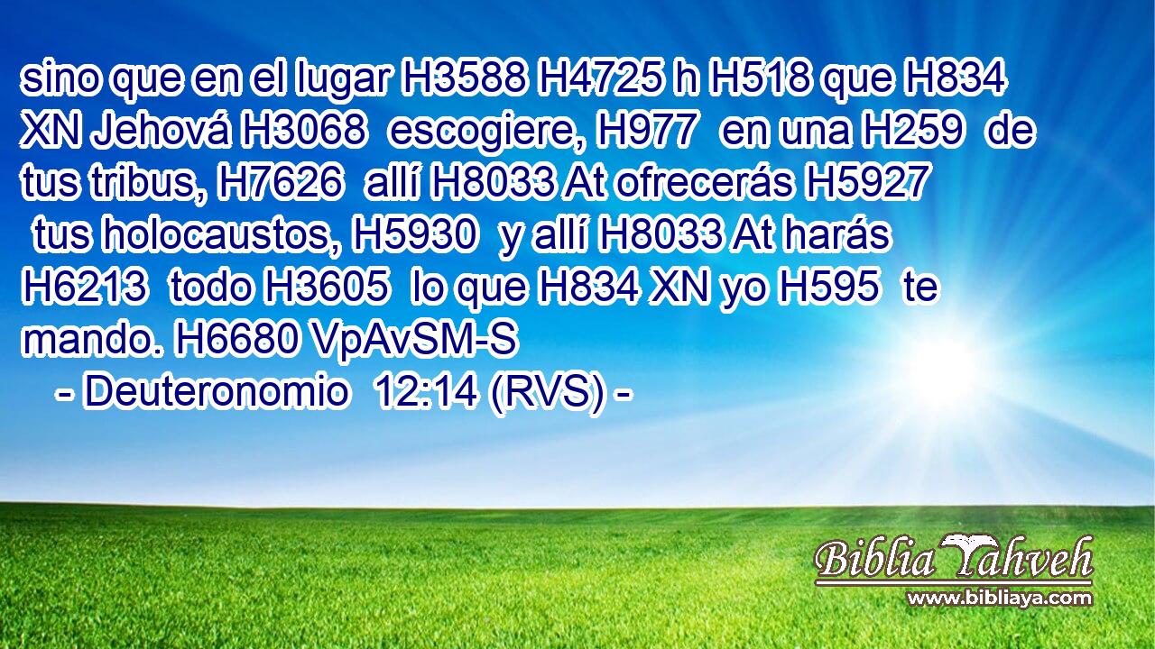 sino que en el lugar H3588 H4725 h H518 que H834 XN Jehová H3068  escogiere, H977  en una H259  de tus tribus, H7626  allí H8033 At ofrecerás H5927  tus holocaustos, H5930  y allí H8033 At harás H6213  todo H3605  lo que H834 XN yo H595  te mando. H6680 VpAvSM-S 