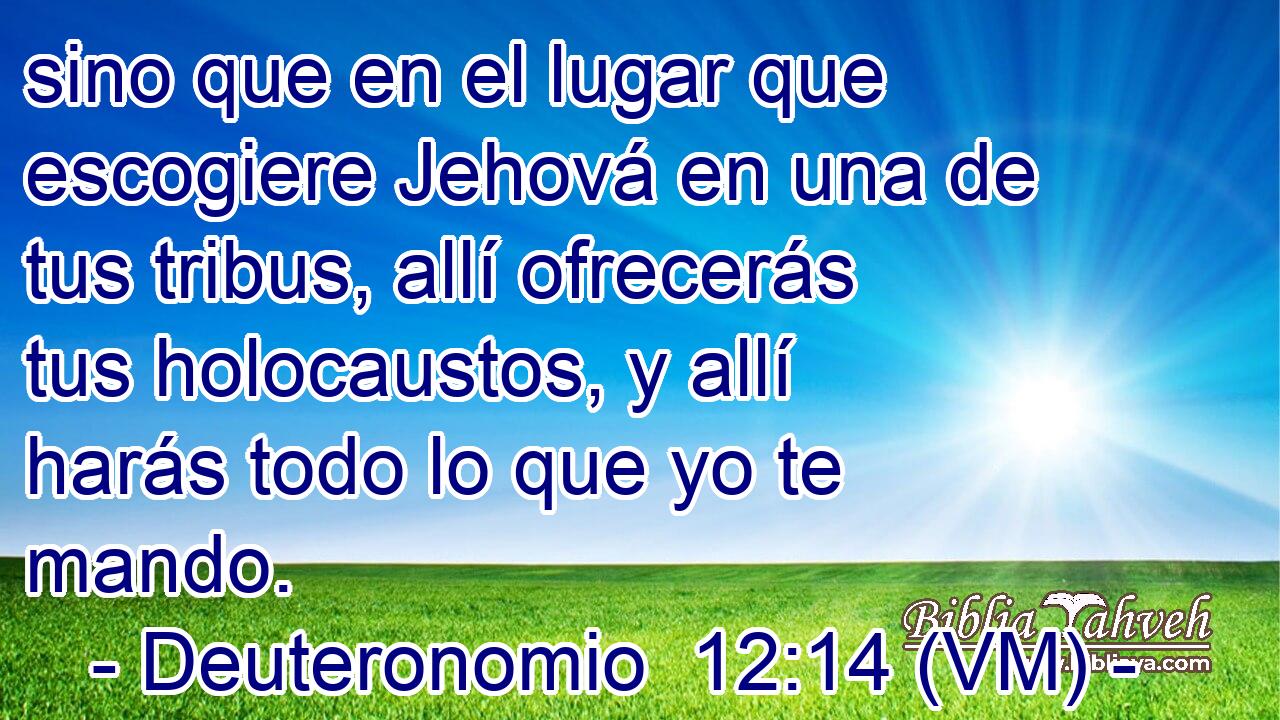  sino que en el lugar que escogiere Jehová en una de tus tribus, allí ofrecerás tus holocaustos, y allí harás todo lo que yo te mando. 