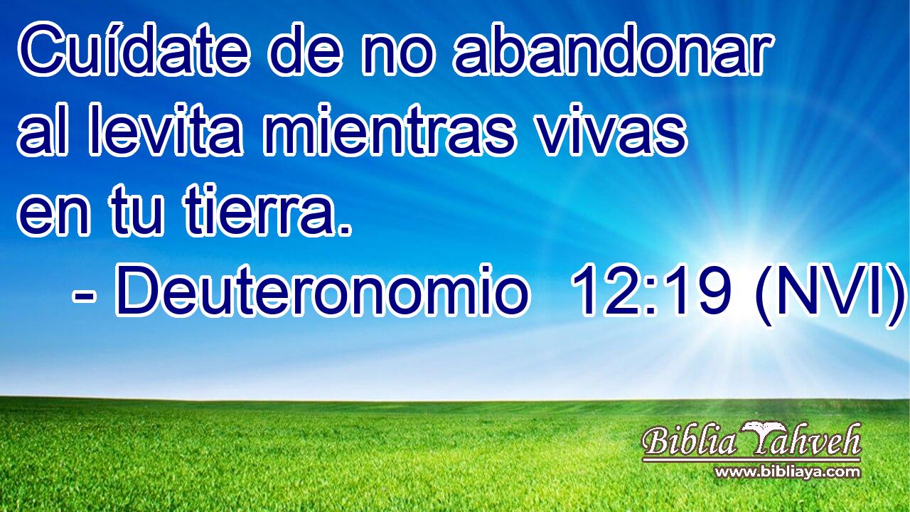  Cuídate de no abandonar al levita mientras vivas en tu tierra. 