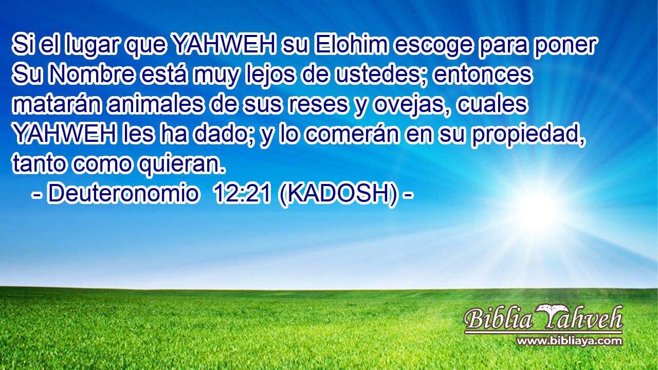  Si el lugar que YAHWEH su Elohim escoge para poner Su Nombre está muy lejos de ustedes; entonces matarán animales de sus reses y ovejas, cuales YAHWEH les ha dado; y lo comerán en su propiedad, tanto como quieran. 